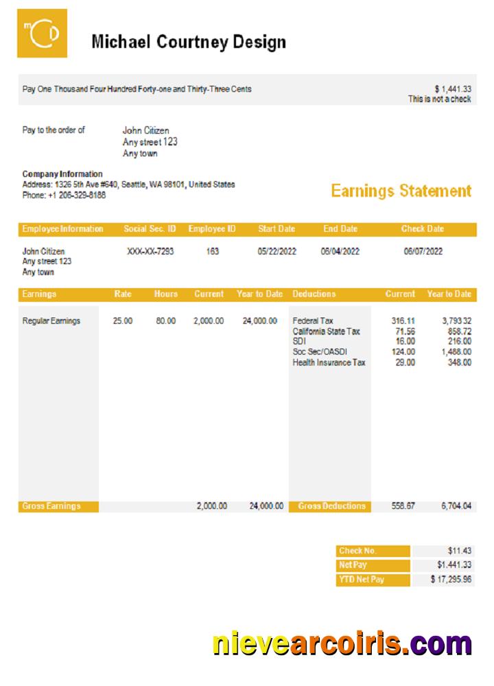 USA Michael Courtney Design graphic company pay stub